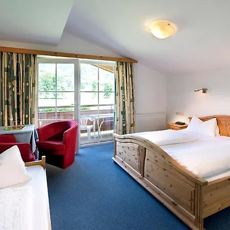 Alpenhof Hotel 3*