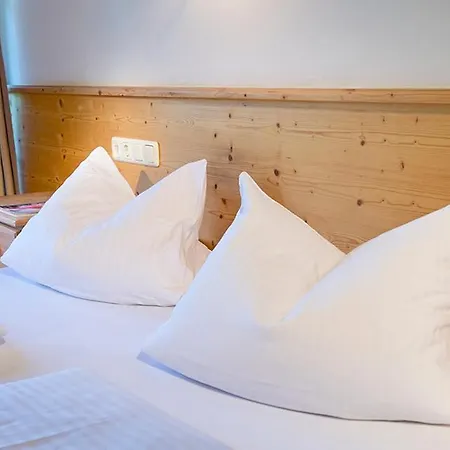 Hotel Alpenhof 3*